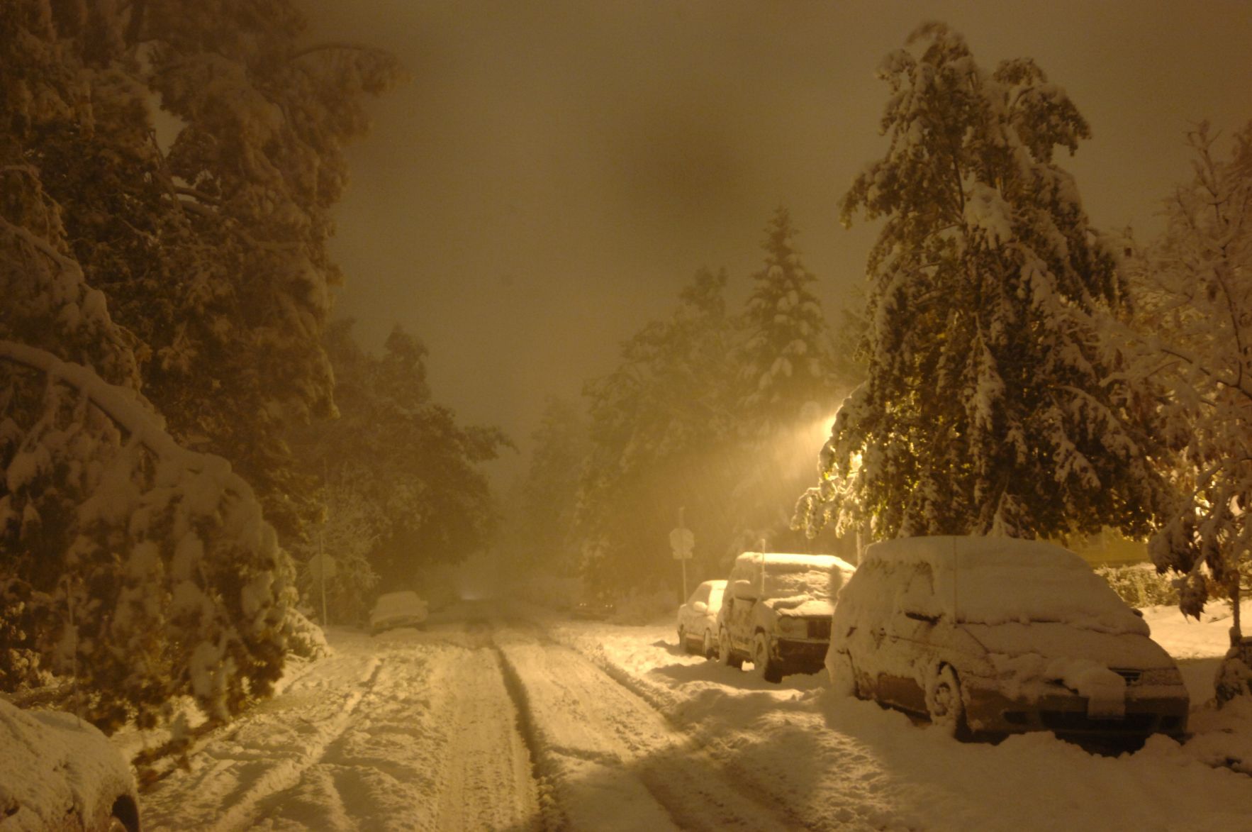 LOCAL OCTOBER SNOWSTORM GEE